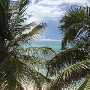 Belize Barrior Reef 3