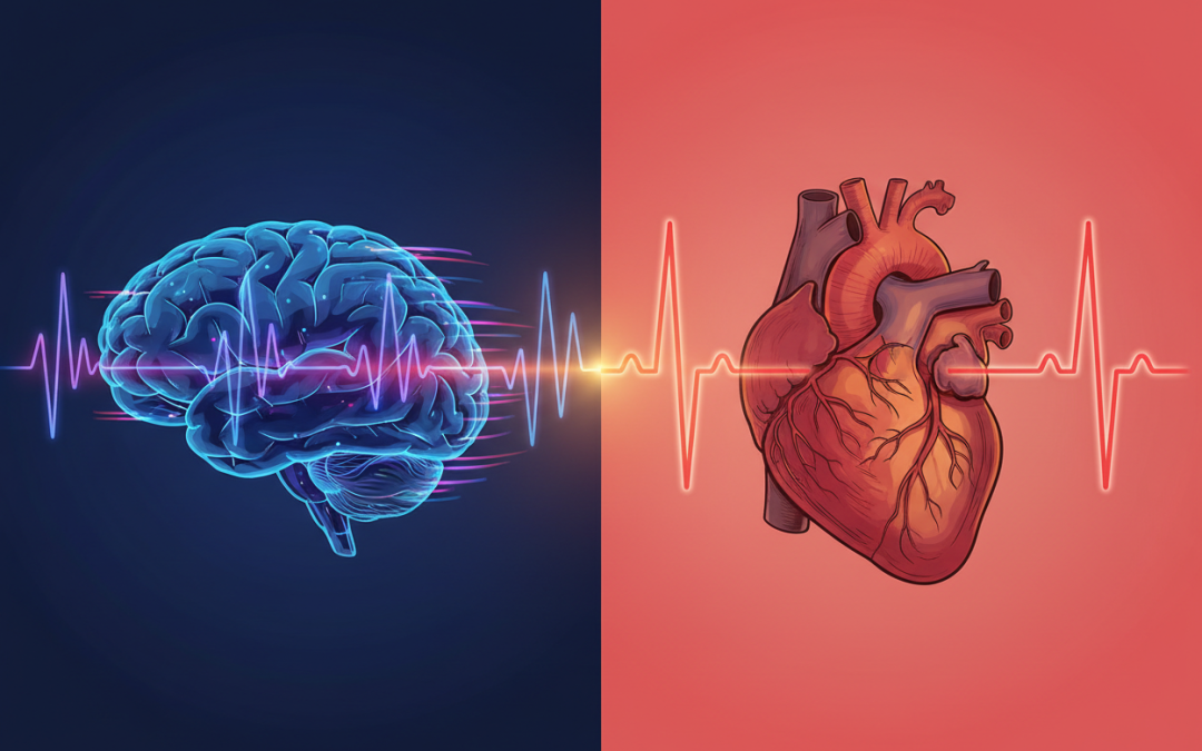 The Connection Between Brainwaves and Cardiovascular Health